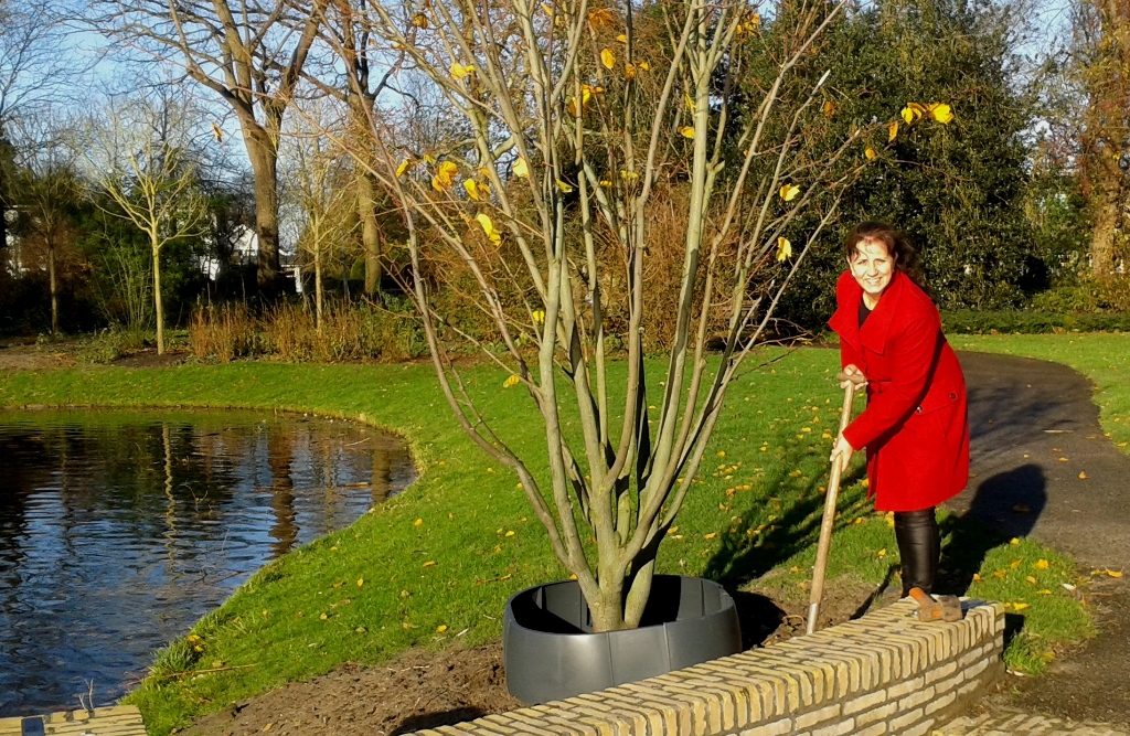 Wethouder Bianca Bremer stak hoogstpersoonlijk de schop in de grond in het Berkhoutpark. Foto | gemeente Voorschoten