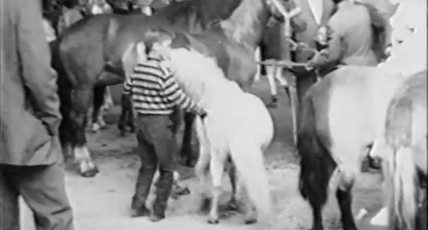 Paardenmarkt 1968